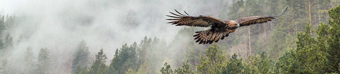 GEMEINSAM FÜR TIER UND NATUR